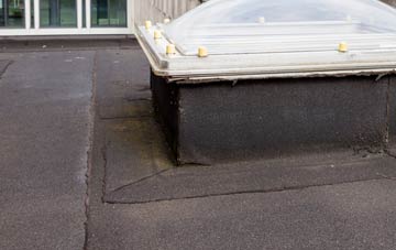 disadvantages of Halmyre Mains flat roofs