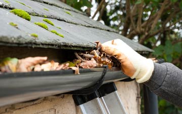 gutter cleaning Halmyre Mains, Scottish Borders